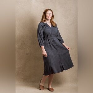 Neuflora Juneau Dress- Blue Gingham